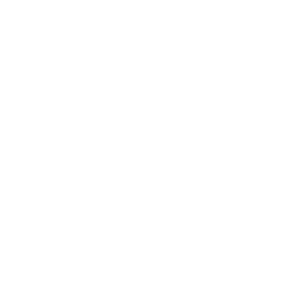 HV Coaching